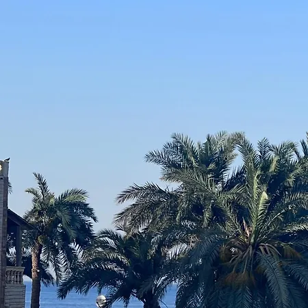 Villa Palm House