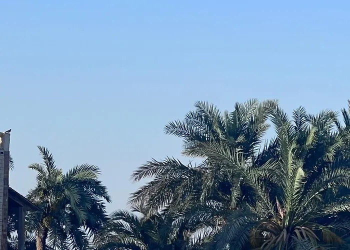 Palm House *